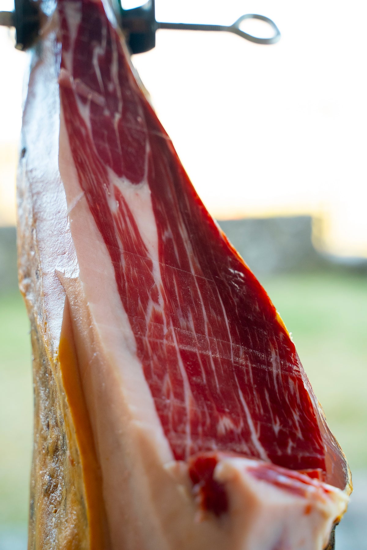 Jamón de Cebo de Campo 50% Ibérico