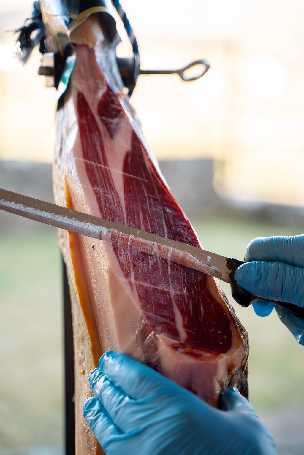Jamón de Cebo de Campo 50% Ibérico